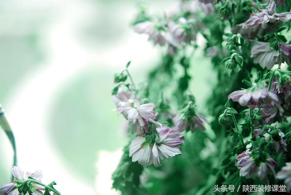 晒晒我的新家,晒晒我的新家装修