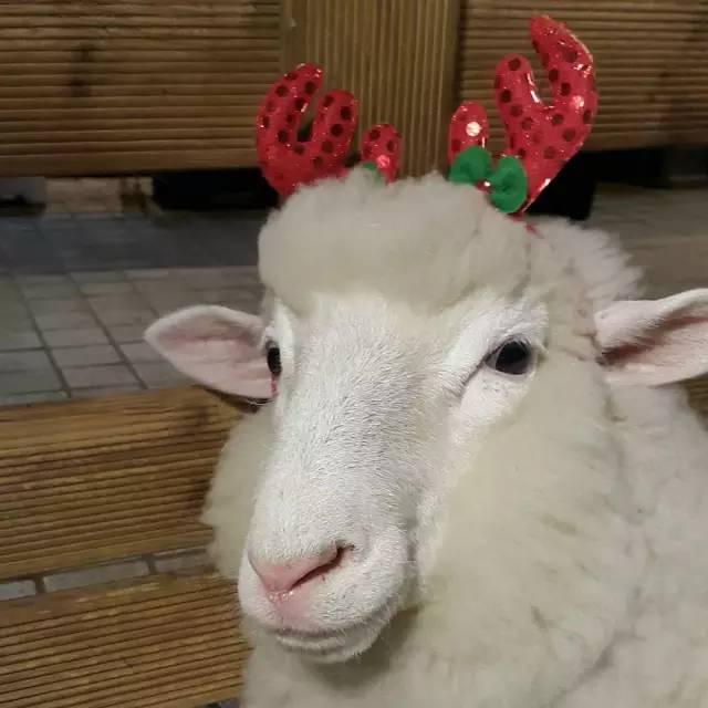 隐藏在韩剧里的套路King——咖啡