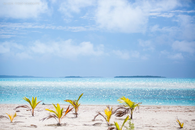 库克，上帝最秘密的存在