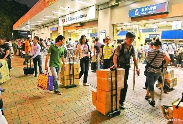 狗粮出口中亚,国外进口狗粮