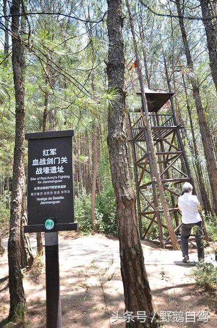 房车自驾阆中古城游玩攻略,野鹅自驾霞云岭