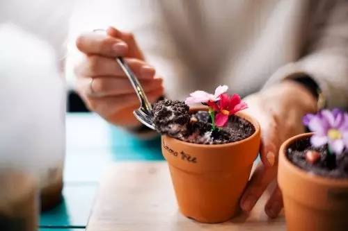 韩国｜哪些零食撩妹成功率100%？