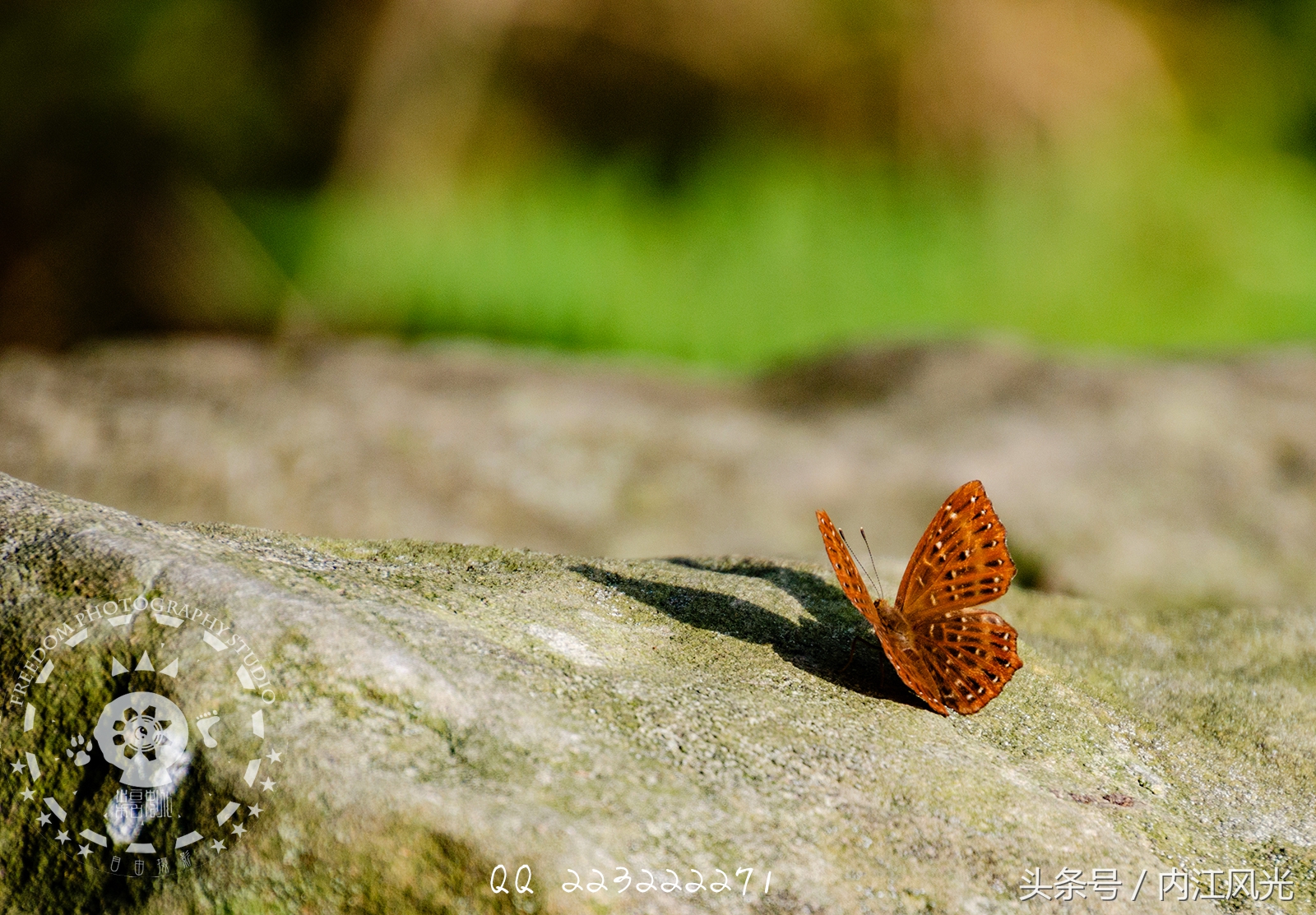 攀越震撼的内江威远高顶寨
