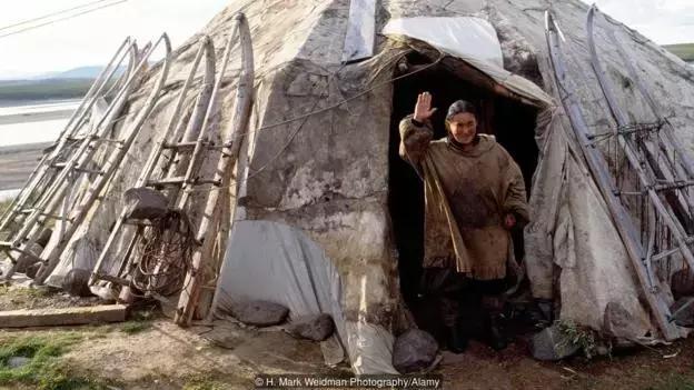 关于狗的冷知识拉布拉多,哈士奇冷知识狗语十级