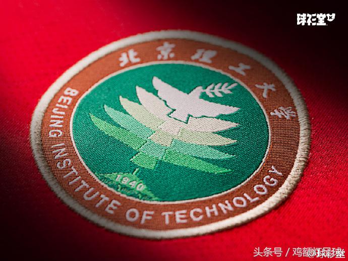 卡尔美中甲联赛,卡尔美亚洲杯球衣