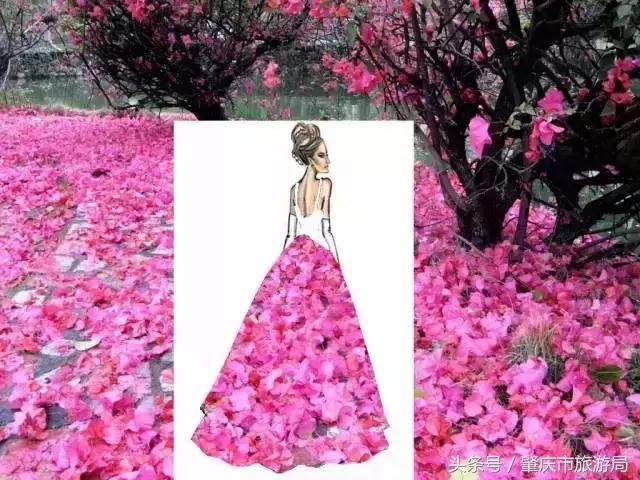 西大下了一场雨,美翻了整个肇庆!