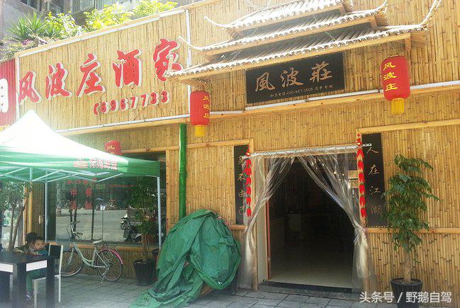 新疆野鹅自驾游视频,野鹅圣诞节自驾游