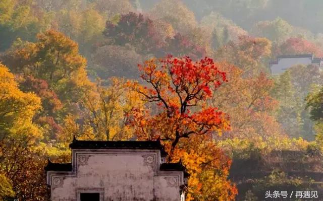 皖南有几条自驾线,皖南一条天路