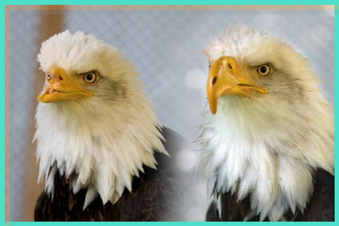 techworld最炫黑科技,高效3d打印产品