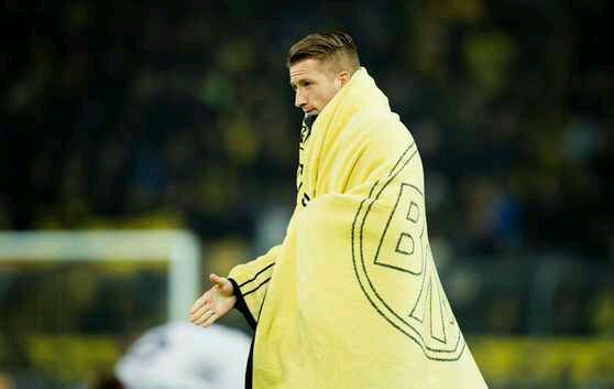 蜂王回归完整版视频,蜂王降世