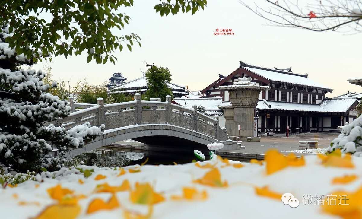 雪中宿迁，素颜都美到窒息！