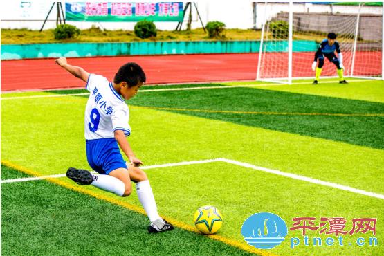 小学校园足球七人制比赛,思明区小学五人制足球赛