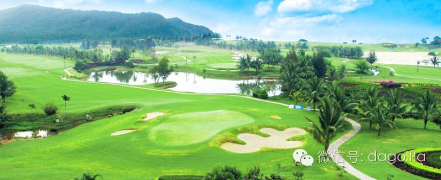 高尔夫优惠团购99元直播,国际高尔夫订场