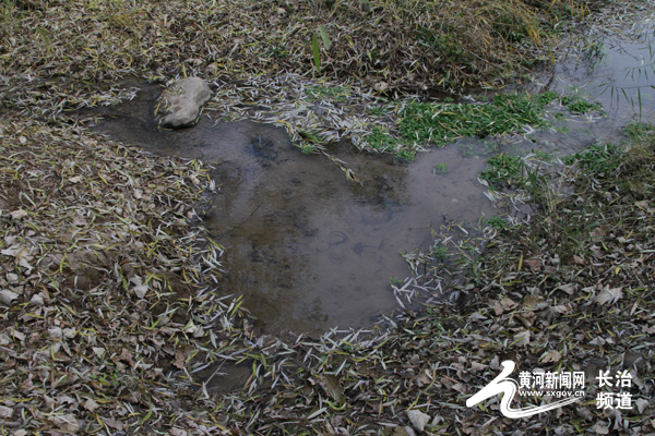 长治市辛安泉源头治理,辛安泉引水二期