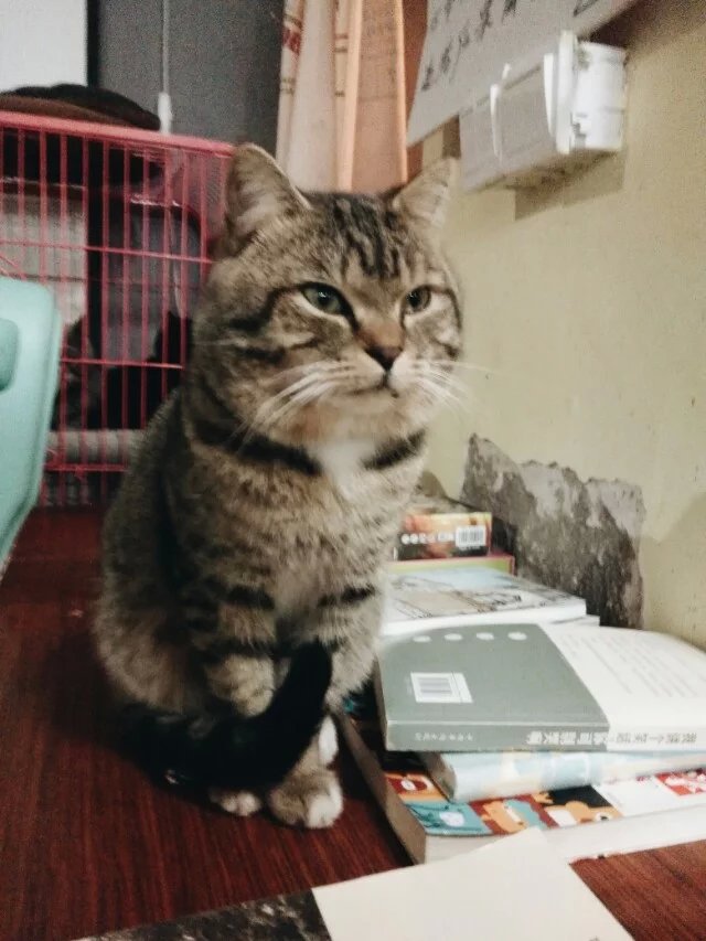 鎳掍汉寮瑰敱姝屾洸,鎳掍汉寮瑰敱