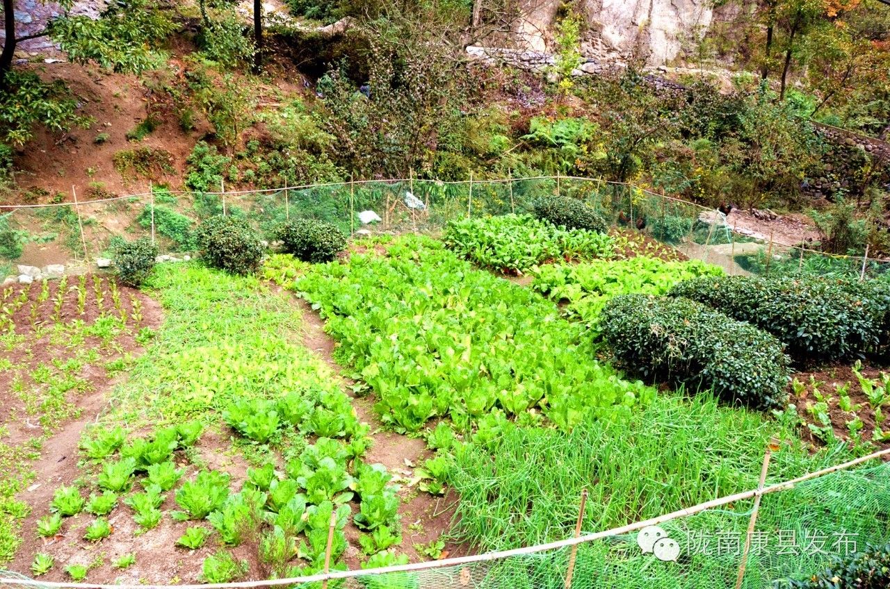 阳坝:遗落在时光深处的慢生活