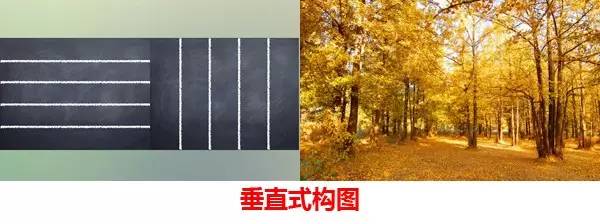 成都西部银杏第一村 (成都市周边哪里的银杏最多最美)