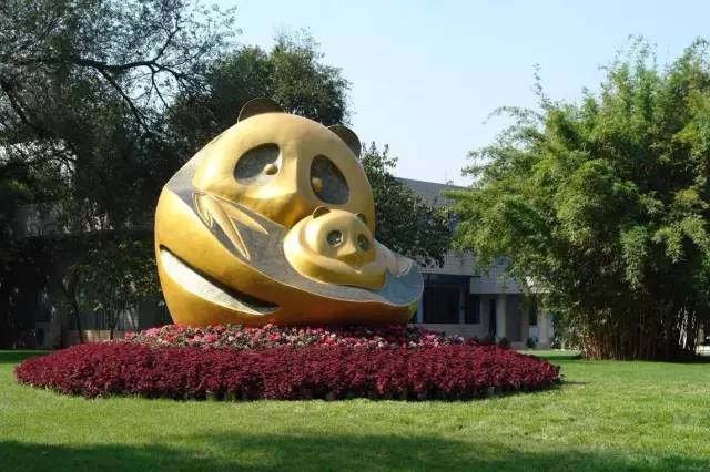 四川大熊猫栖息地在哪个位置,3分钟了解四川大熊猫栖息地