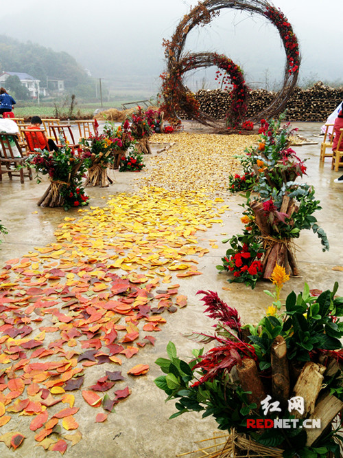 宁乡婚礼,宁乡豪华婚礼现场