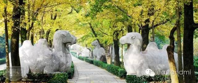 我来到你的城市女声快速版,适合citywalk的湖北城市