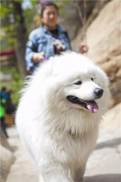 活动回顾｜欧帝亿主题巴士回顾--畅游幽谷神潭