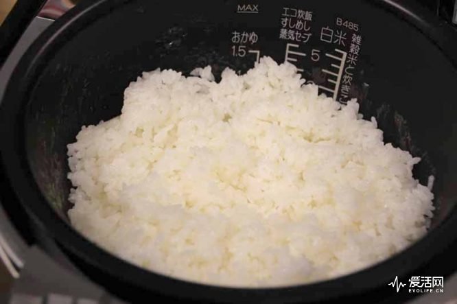 日本电饭煲测评排行,电饭煲哪个牌子的煮饭最好