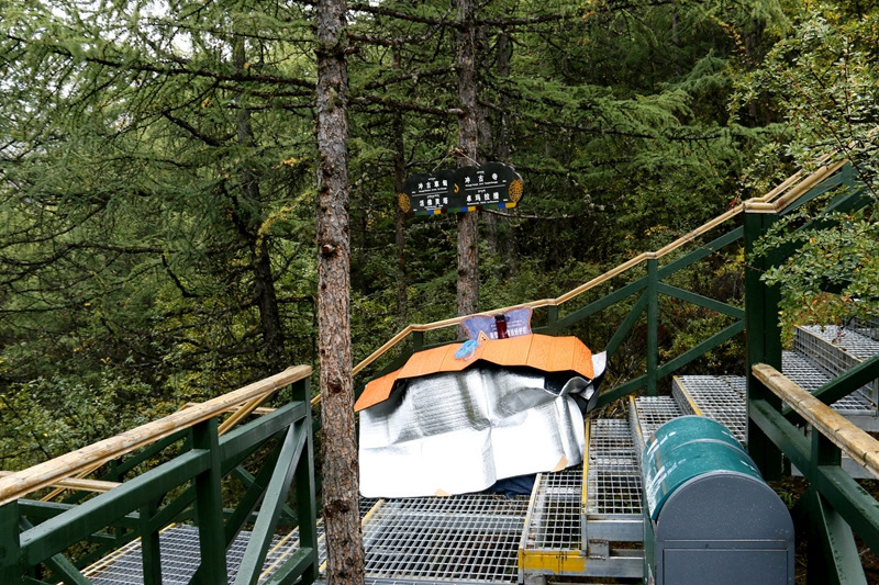 佩服自己，我在亚丁冒雨溯溪央迈勇到牛奶海