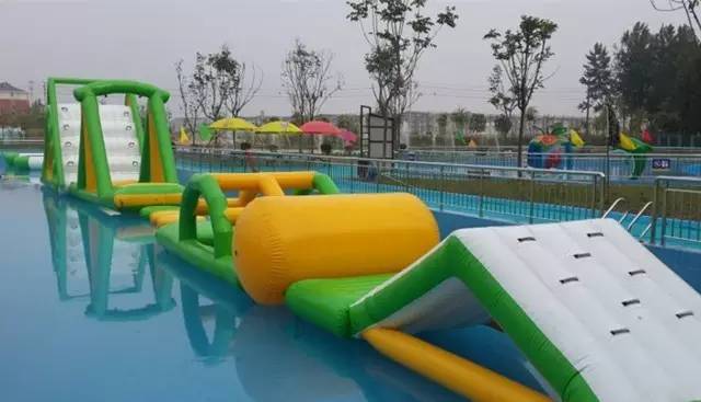 萌萌哒海狮空降海口，竟然还有这样的水上活动！