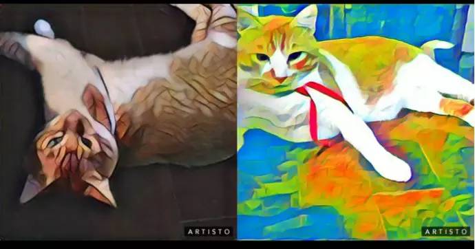 最惊艳的拍照app,十大照片特效软件app