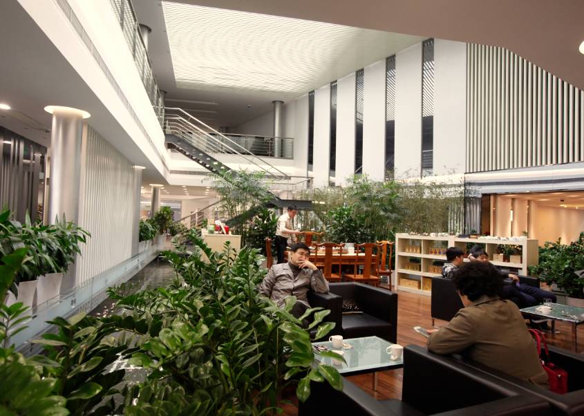 一品特写｜坚持客户为先，张弢详解利星行（天津）进阶之道