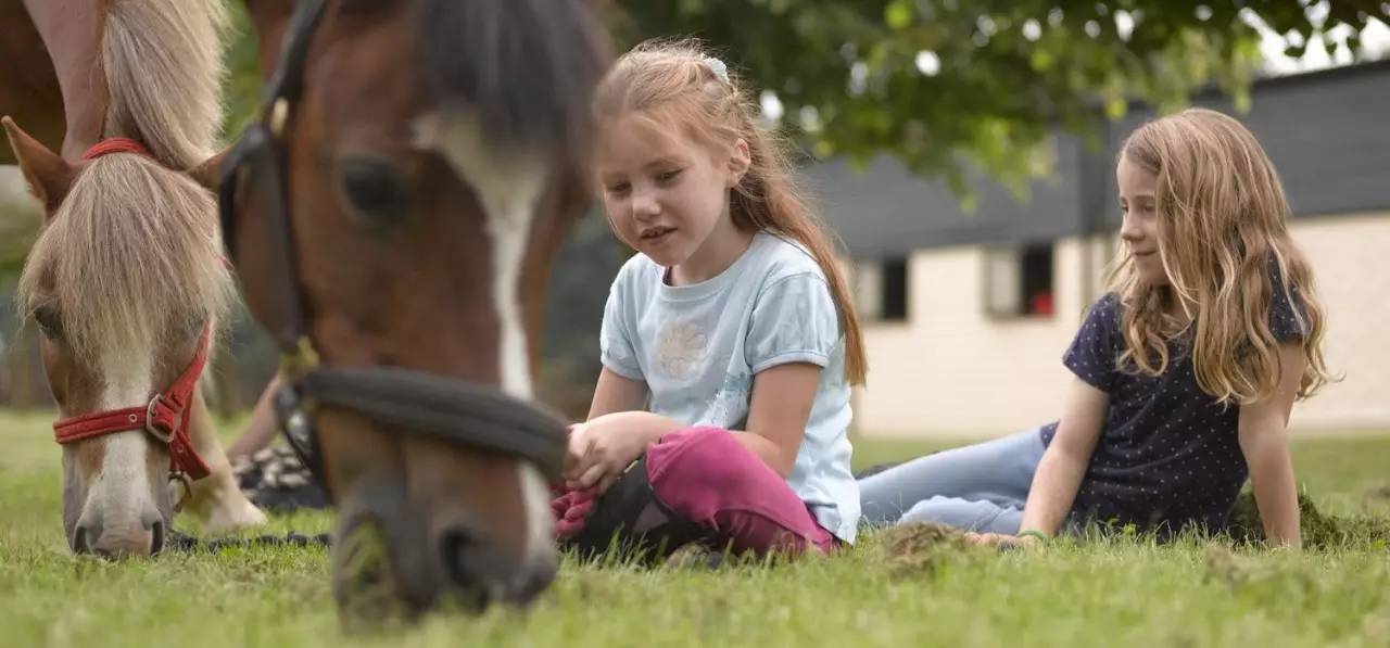 英格兰民宿房间图片大全,英国旅游住宿民宿酒店