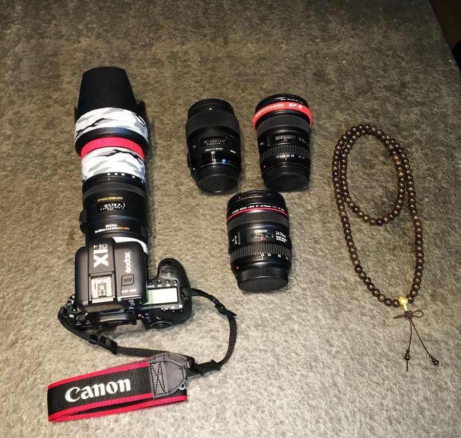 我爱龙鱼，为之疯狂