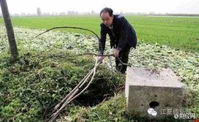 纸坊一饭店私售潲水被罚款2000元｜香烟突然爆炸，男子被震成……