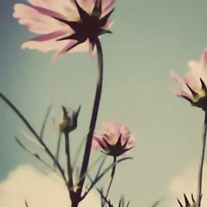 儿童护眼平板是智商税,适合孩子学习用的护眼平板推荐