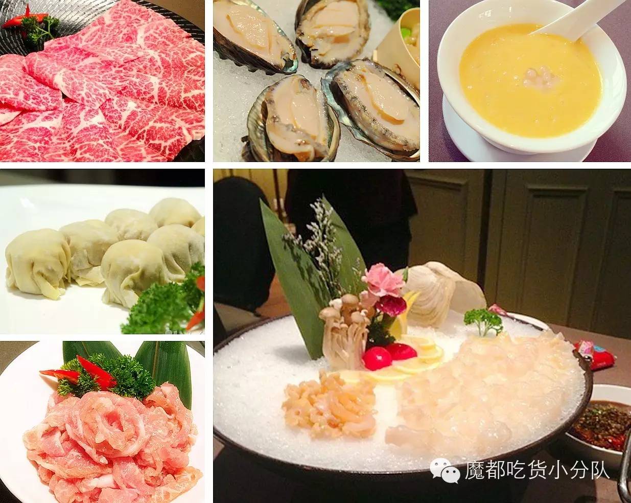 榄旈兘鐢熷瓨鎵嬪唽,榄旈兘鐢熷瓨鎸囧崡