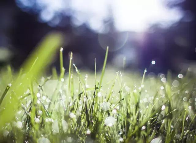 过了司考可以从事什么岗位,过了司考可以接案子吗