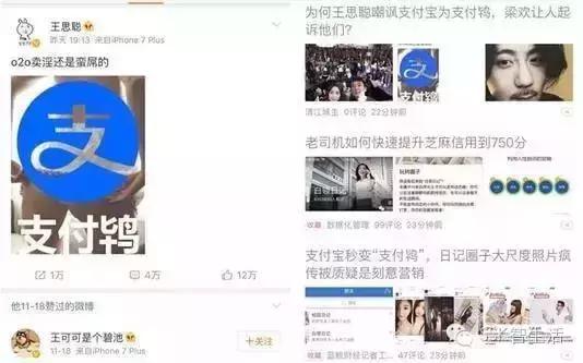 支付鸨事件来历,支付鸨事件