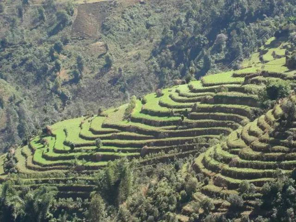 最近昆明哪里风景比较好,昆明周边的绝世美景