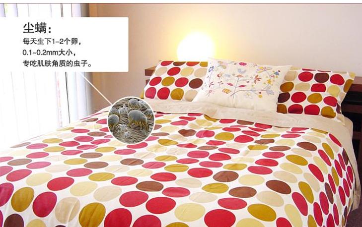 螨虫有多可怕它长啥样,螨虫放大100倍到底有多脏