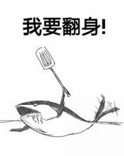 炉石卡组安利：我加尔鲁什今天要打死你—平民疯狗海盗战速拿低保