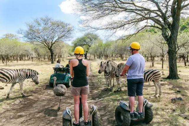 姣涢噷姹傛柉娓哥帺鏀荤暐,姣涢噷姹傛柉娴蜂笂鏃呮父鏀荤暐