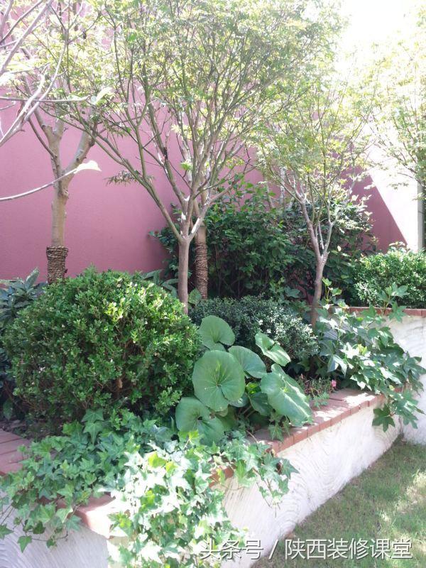 280平花园法式,我家花园的氛围感