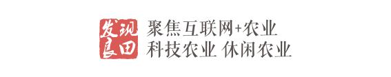 传统农业商业模式的创新,智慧农业商业模式