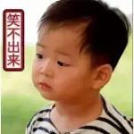 加拿大海关一般检查什么,加拿大海关违禁物品