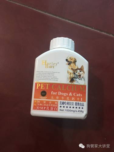 金毛从成年开始养,金毛养成