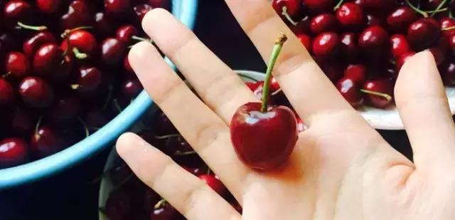 香港人寿命长的原因,香港人寿命全球最高