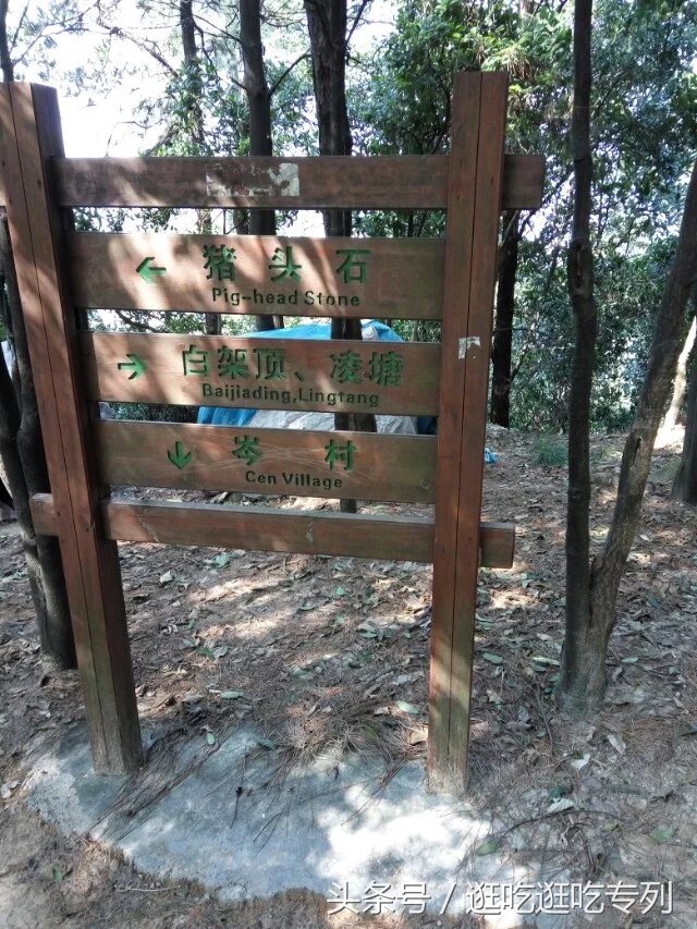 广州火炉山森林公园游玩攻略,广州火炉山徒步完整版