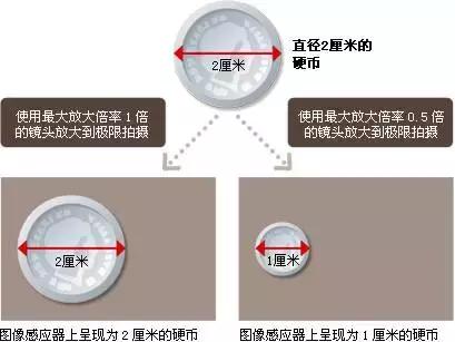 摄影被忽略的参数,对焦距离对摄影有什么影响