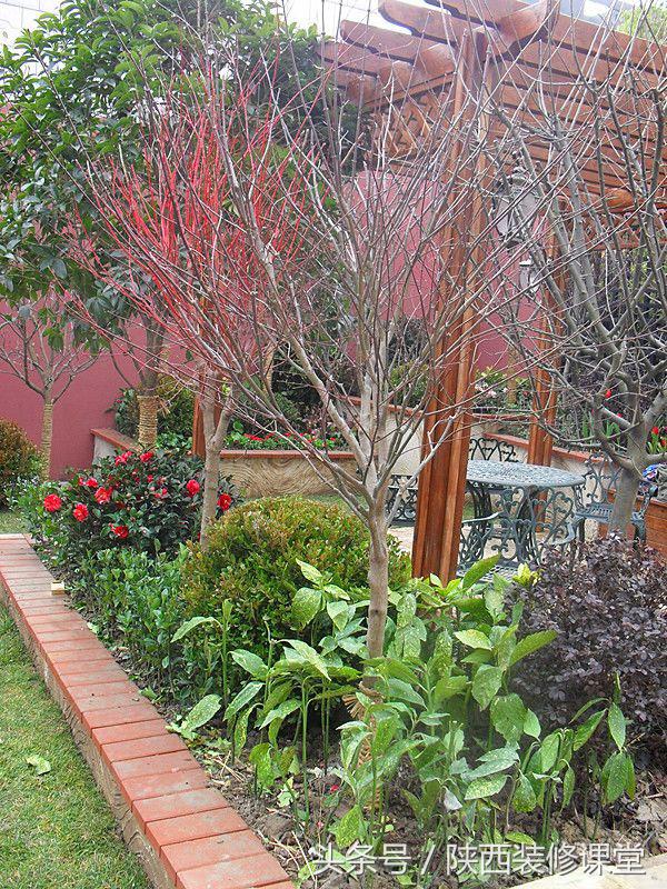 280平花园法式,我家花园的氛围感