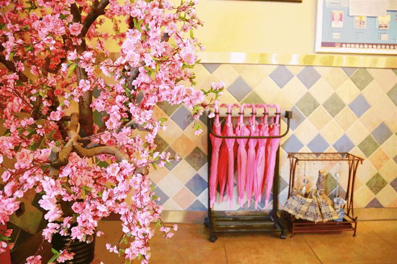 全国十大最美银杏大学,全国最美银杏大学